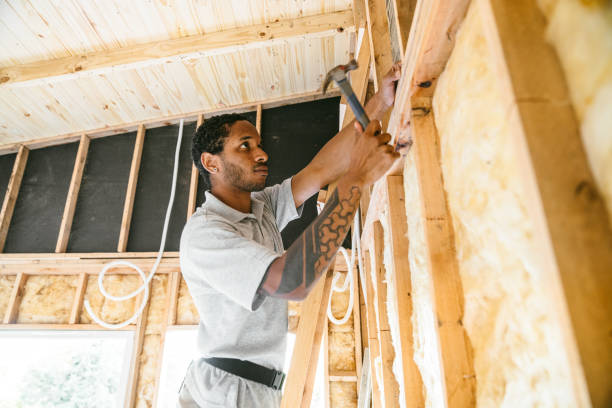 Best Insulation Inspection Services  in Sandstone, MN